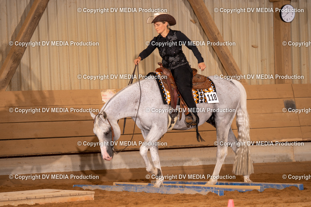 NID00518 | dv-media-shop - Realisiert mit Pictrs.com