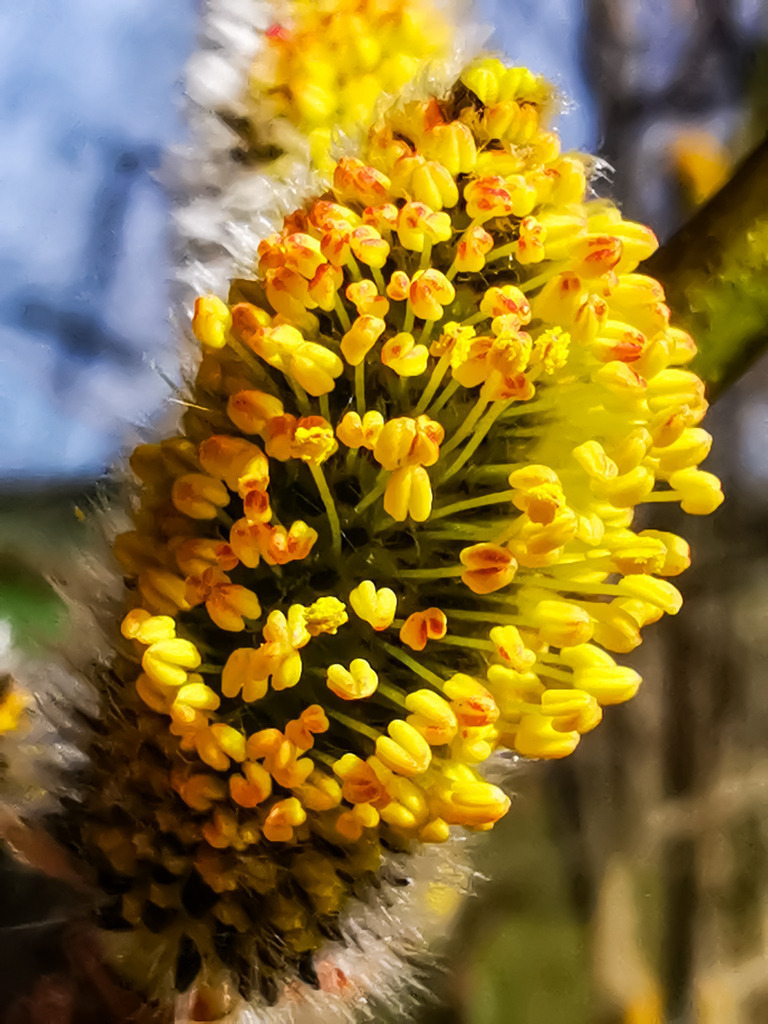 PSX_20230321_222020 | mtkfoto_ - Realisiert mit Pictrs.com