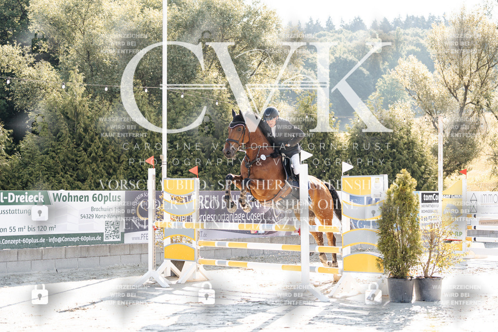 CK907462 | Turnierfotografie Pferdefotografie Trier Rheinland-Pfalz Pferdesport Reitsport Tierfotografie Sportfotografie Pferdevideo Pferdevideografie Equestrianvideography equestrianphotography  - Realisiert mit Pictrs.com