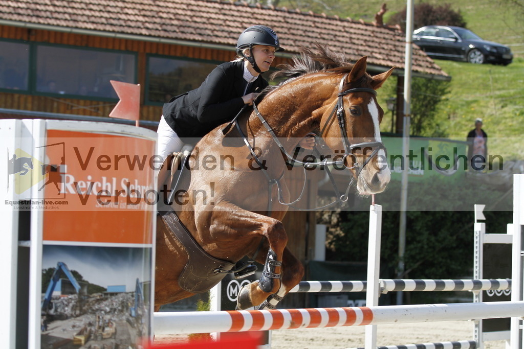 _MG_9531 | equestrian-live-com