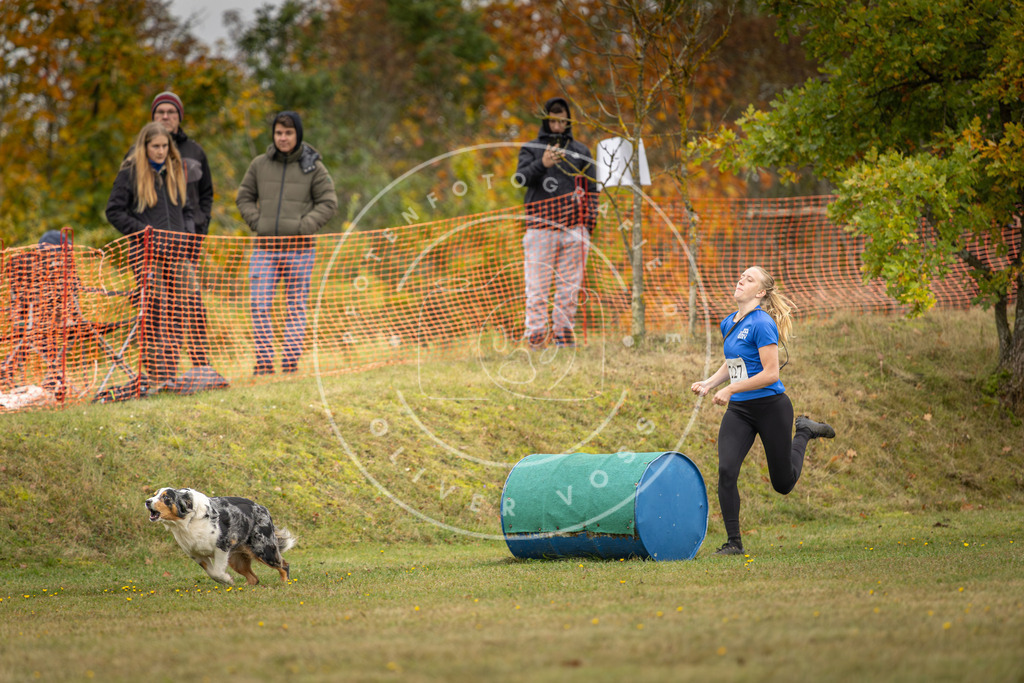 Pfotenfotografie_DV3A4650 | Hundefotografie, Tierfotograf, Pfotenfotografie, Fotoshooting Hund, Hunde Portrait, Hundesport, Hundeportraits, Heideshooting, Hunde, Sportfotograf, Hundefotograf, Turnierhundsport, THS,  - Realisiert mit Pictrs.com