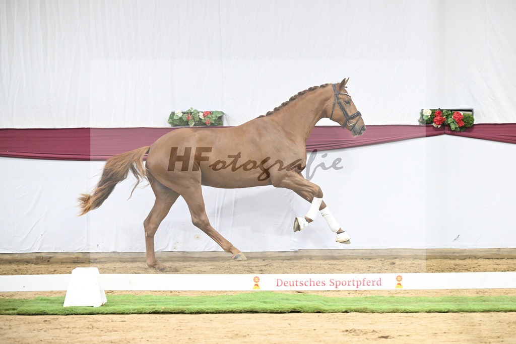 Kat-Nr. 122 Fynch Hatton x De Niro_Wolfgang Reich_47253621 | hf-fotografie - Realisiert mit Pictrs.com