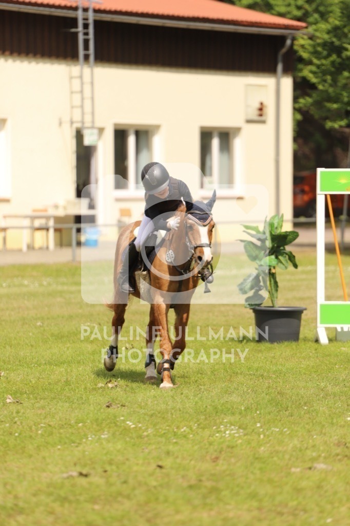 IMG_7495 | Pauline Ullmann Photography - Realisiert mit Pictrs.com