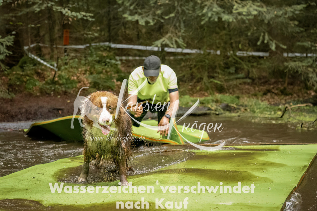 1231_ZZ90056-Bearbeitet | kk-dogfotos