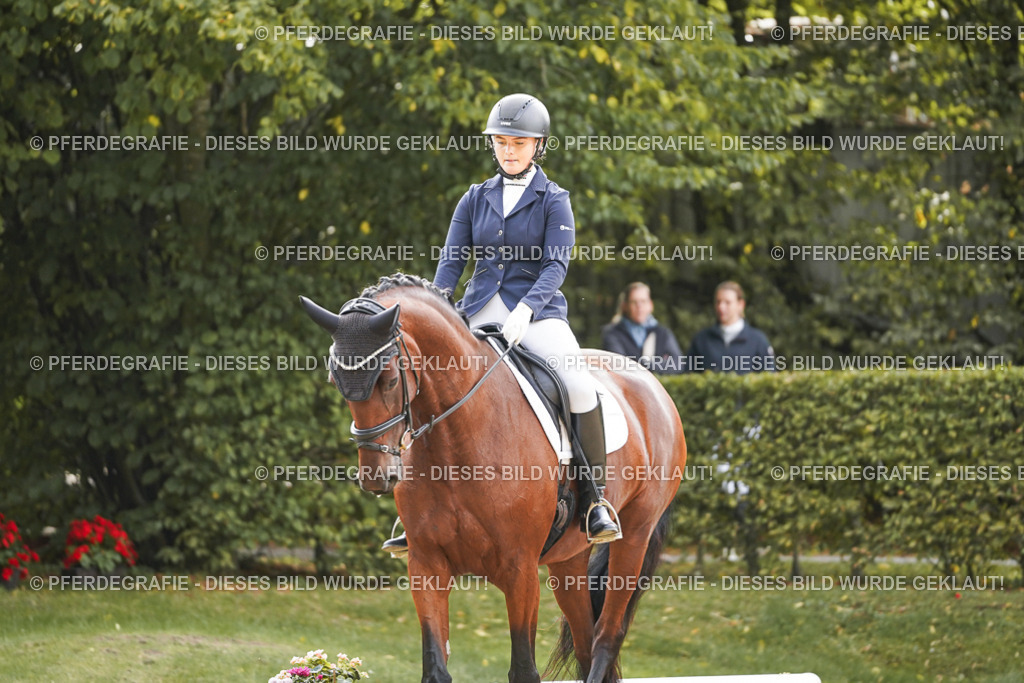 DSC09393 | Pferdegrafie