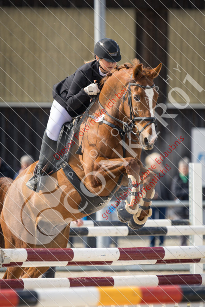 IMG_4210 | Sport-, Event- und Tierfotos in Profiqualität. Einfach auswählen, bestellen und herunterladen. Dein Moment – perfekt festgehalten.