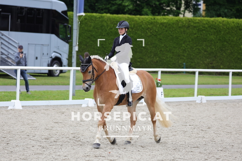 0P6A4388 | Willkommen bei Brunnmayr - Design & Fotografie – Ihrem Spezialisten für Reitturniere und Pferdeveranstaltungen in Oberösterreich, Salzburg und Bayern! Seit über 17 Jahren sind wir leidenschaftlich dabei.