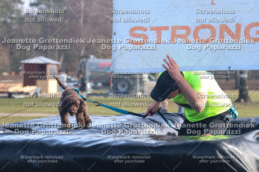 Dog Paparazzi - Strongdog North Mrz26-1046 | Dog Paparazzi Jeanette Grottendiek Fotografie & Videografie - Realisiert mit Pictrs.com