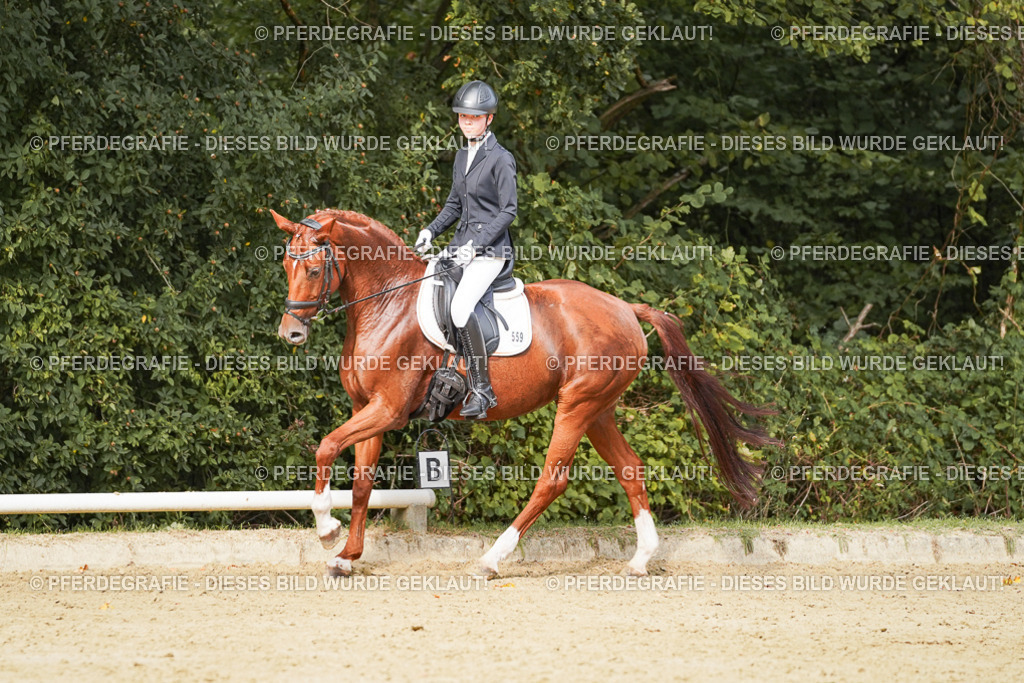 DSC03516 | Pferdegrafie