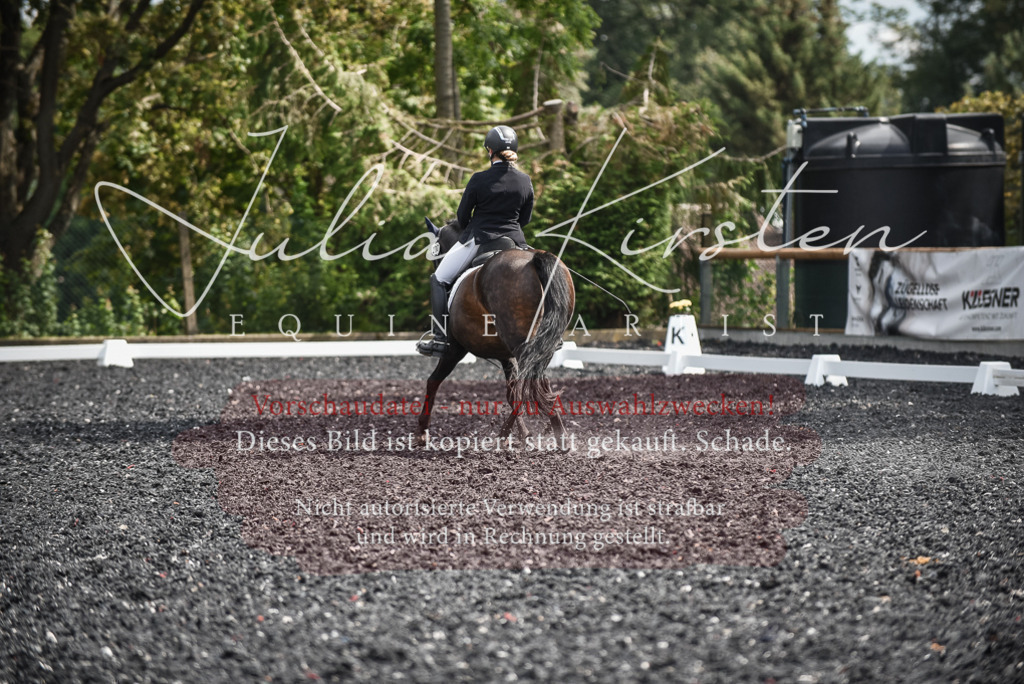 DSC_5104 | Pferde- und Turnierfotografie in Westsachsen. Pferdeportraits, Auftragszeichnungen und intuitive Kunst.