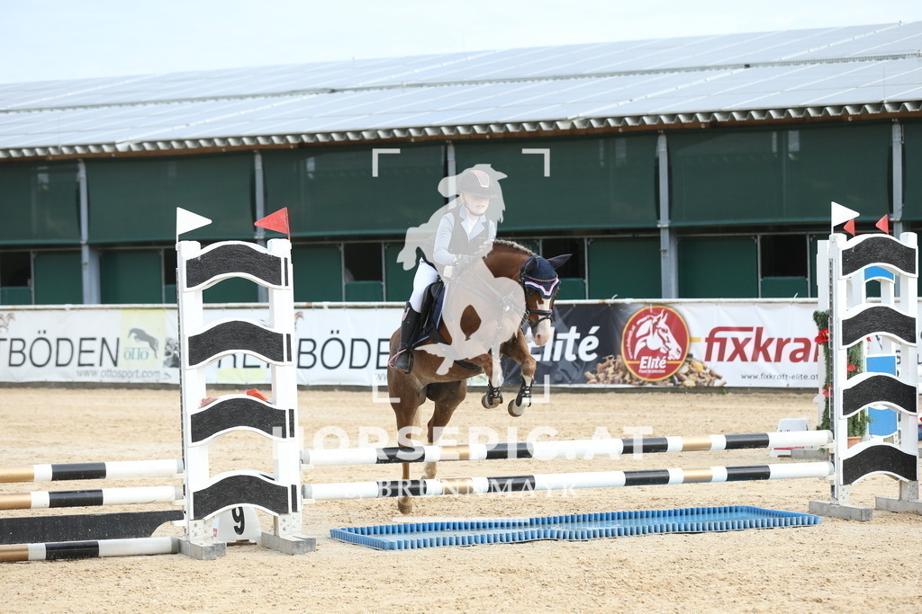 DL2Q4208 | Willkommen bei Brunnmayr - Design & Fotografie – Ihrem Spezialisten für Reitturniere und Pferdeveranstaltungen in Oberösterreich, Salzburg und Bayern! Seit über 17 Jahren sind wir leidenschaftlich dabei.