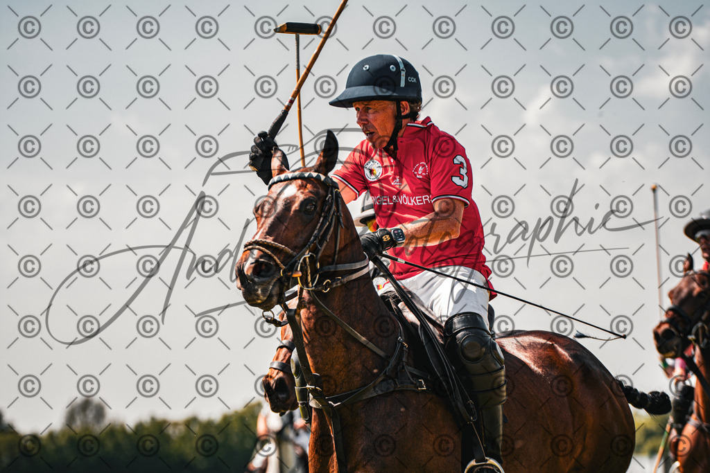 POL_2310-2 | andre_photographic