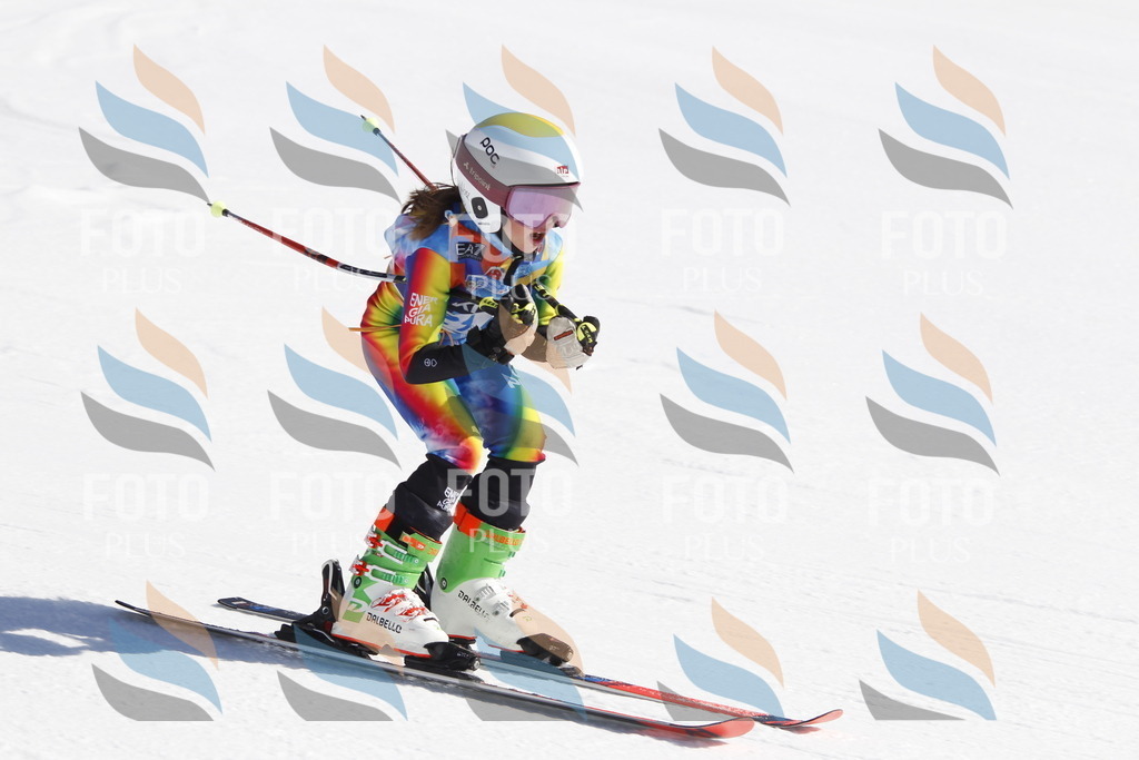 _U3G8884 | holidayphoto