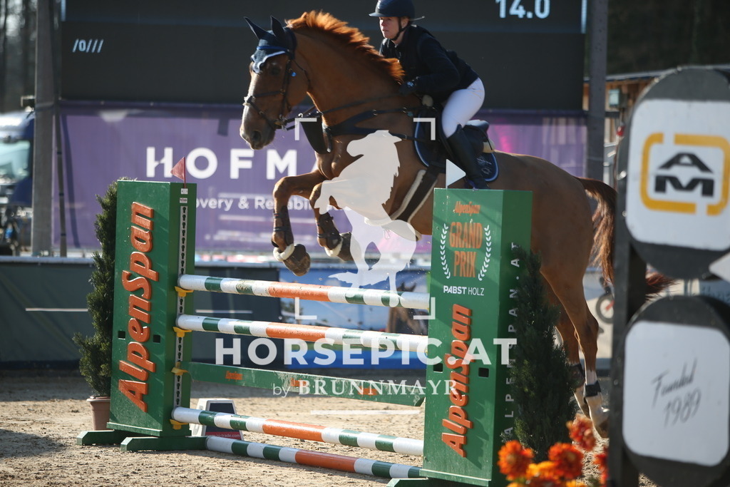 AS8V4749 | Willkommen bei Brunnmayr - Design & Fotografie – Ihrem Spezialisten für Reitturniere und Pferdeveranstaltungen in Oberösterreich, Salzburg und Bayern! Seit über 17 Jahren sind wir leidenschaftlich dabei.