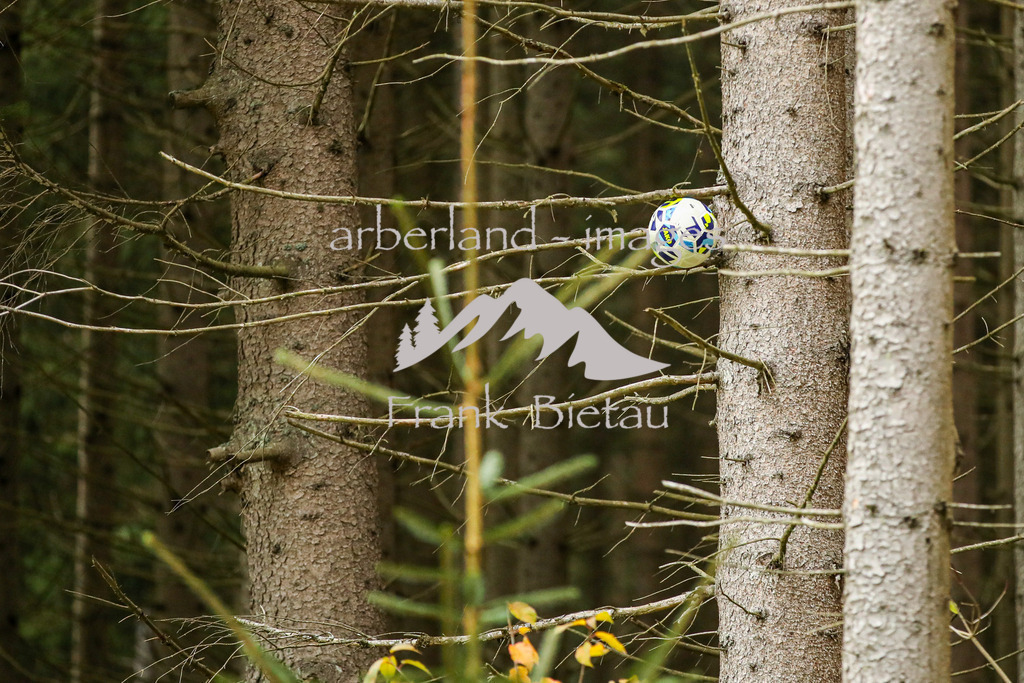 OE7A7211 | deswegen der Name, Waldstadion !