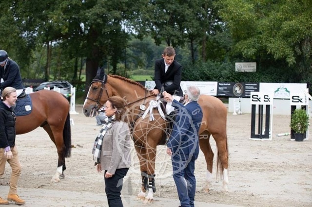 2B4A2562 | pixelfaenger - Realisiert mit Pictrs.com