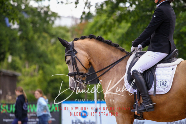 DKP40920 | Turnierfotos kaufen im Webshop von Daniel Kuhl Photography – entdecke professionelle Reitsportfotos aus Turnieren & Events. Hochwertige Turnierbilder online bestellen & sichern. Jetzt Fotos von Reitsportturnieren kaufen!