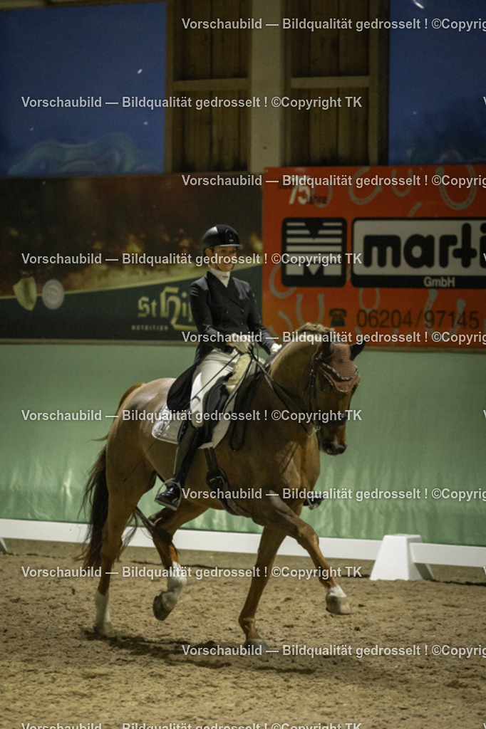 _D5A7564 | Emotionale Pferde- & People-Fotografie rund um Heidelberg, Leimen & Umgebung. Natürliche Fotos von Pferd, Mensch & Familie. Jetzt Termin sichern!