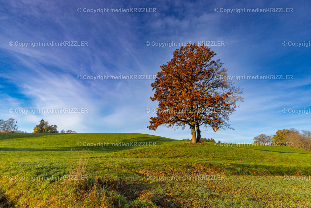 _J3A9052 | medienkrizzler - Realisiert mit Pictrs.com