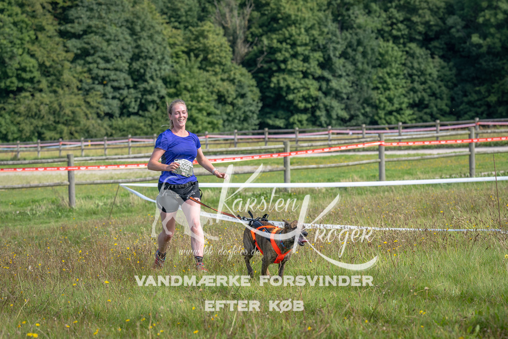 1147_ZZ91568 | kk-dogfotos