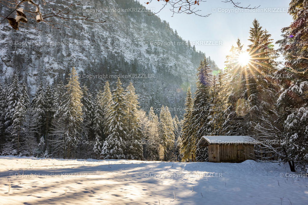 _J3A9635 | medienkrizzler - Realisiert mit Pictrs.com