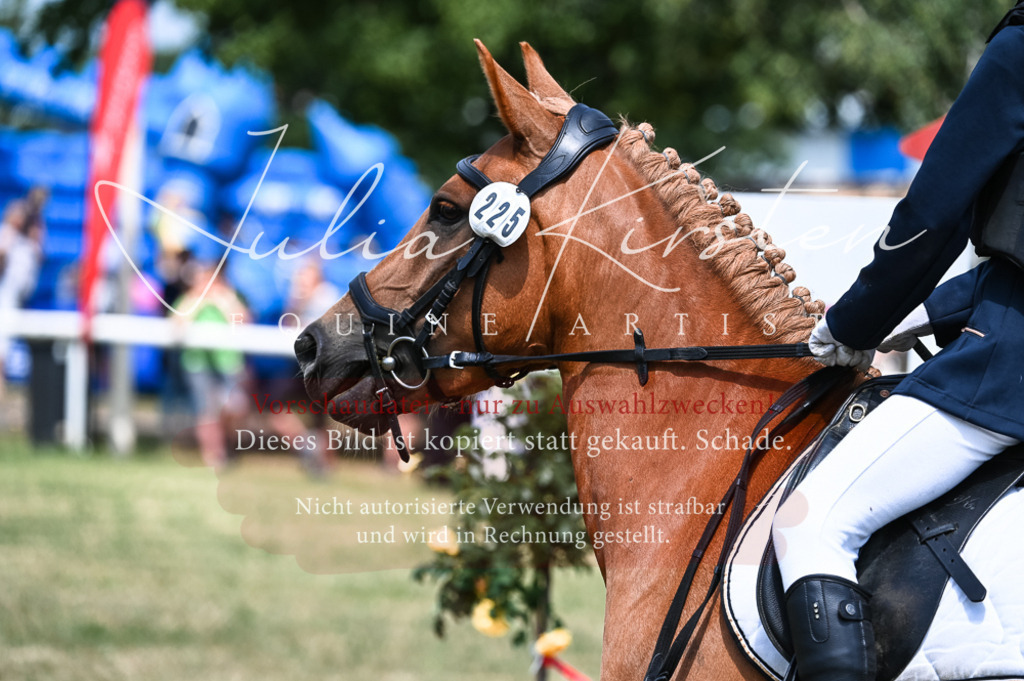 DSC_9660 | Pferde- und Turnierfotografie in Westsachsen. Pferdeportraits, Auftragszeichnungen und intuitive Kunst.