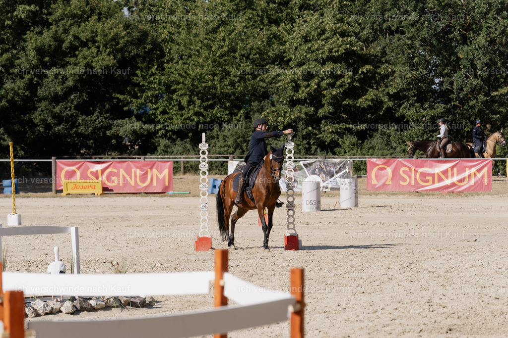 WS_SP_38_SinaFilmArt_IN08968 | working equitationturnier fotograf videograf stoibphotography marixx film working equitation deutschland reitsport turnierfotografie eventfotografie equestrian events