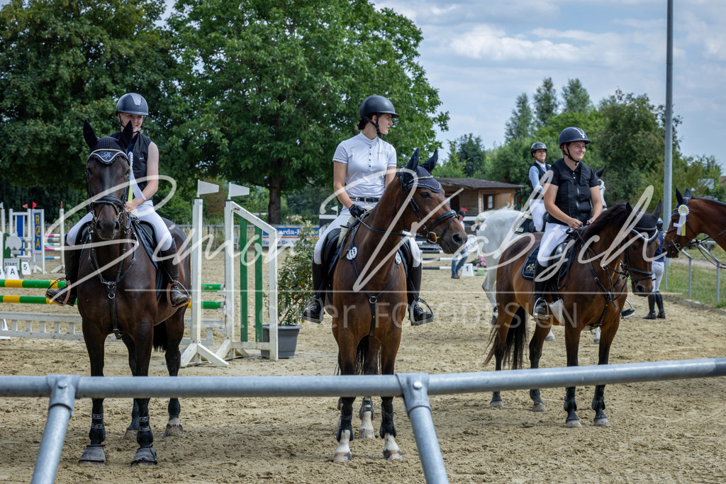 20260704-_3LI1173 | Tierfotografie Pferde, Hunde, Katzen, Haustiere.
Turnierfotografie Reitturniere, Reiten, Springreiten, Dressur in Hanau, dem Main-Kinzig-Kreis und dem Rhein-Main- Gebiet um Frankfurt
