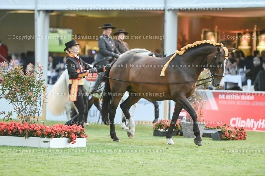 20230526_Pferdenacht_0770 | equistock