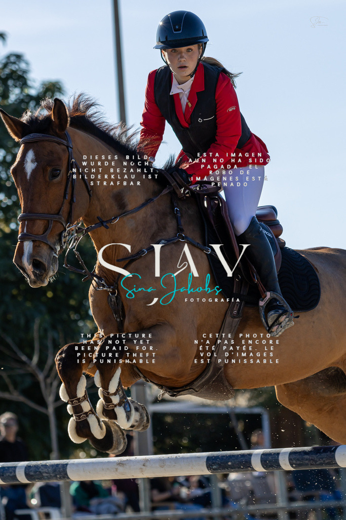 IMG_2010 | s-jay-photography - Realisiert mit Pictrs.com