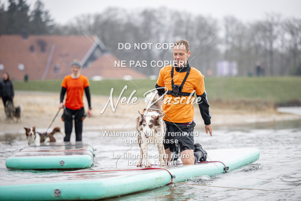 nelerasche_Hulsbeek_Sa1100-1130_608 | nelerasche