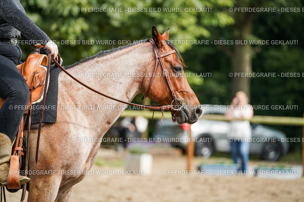 DSC04472 | Pferdegrafie