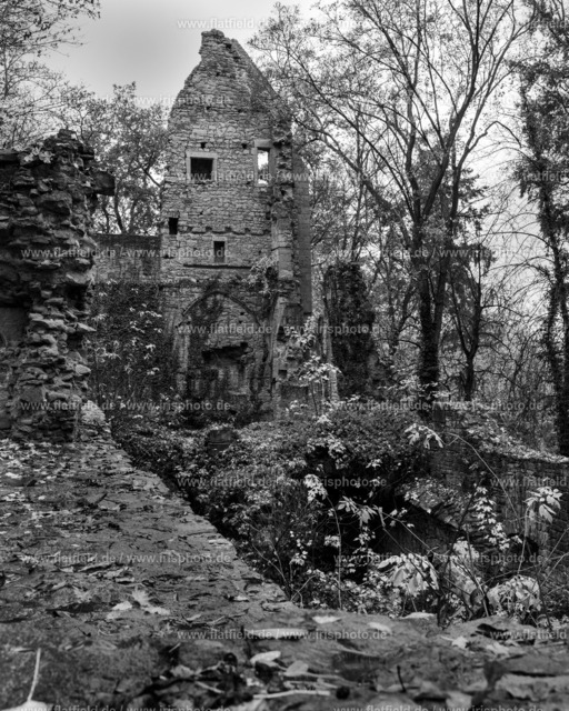 Kostermauern auf Disibodenberg | Kloster Disibodenberg