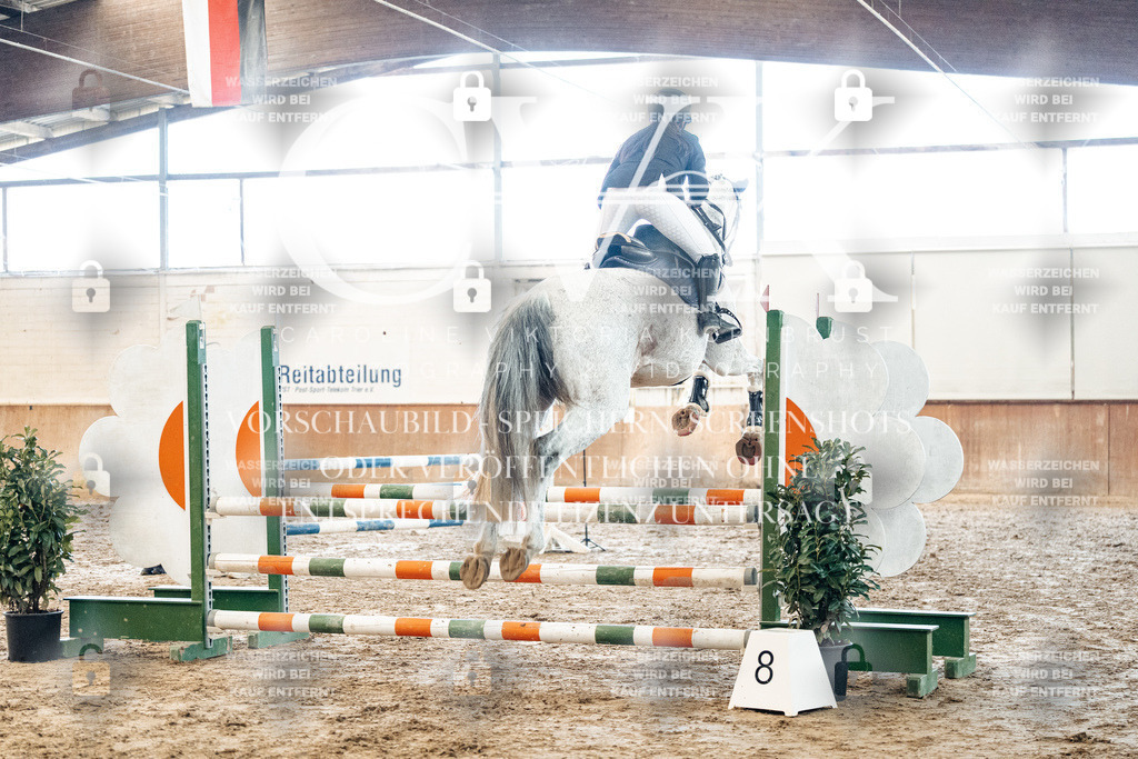 CK904366 | Turnierfotografie Pferdefotografie Trier Rheinland-Pfalz Pferdesport Reitsport Tierfotografie Sportfotografie Pferdevideo Pferdevideografie Equestrianvideography equestrianphotography  - Realized with Pictrs.com