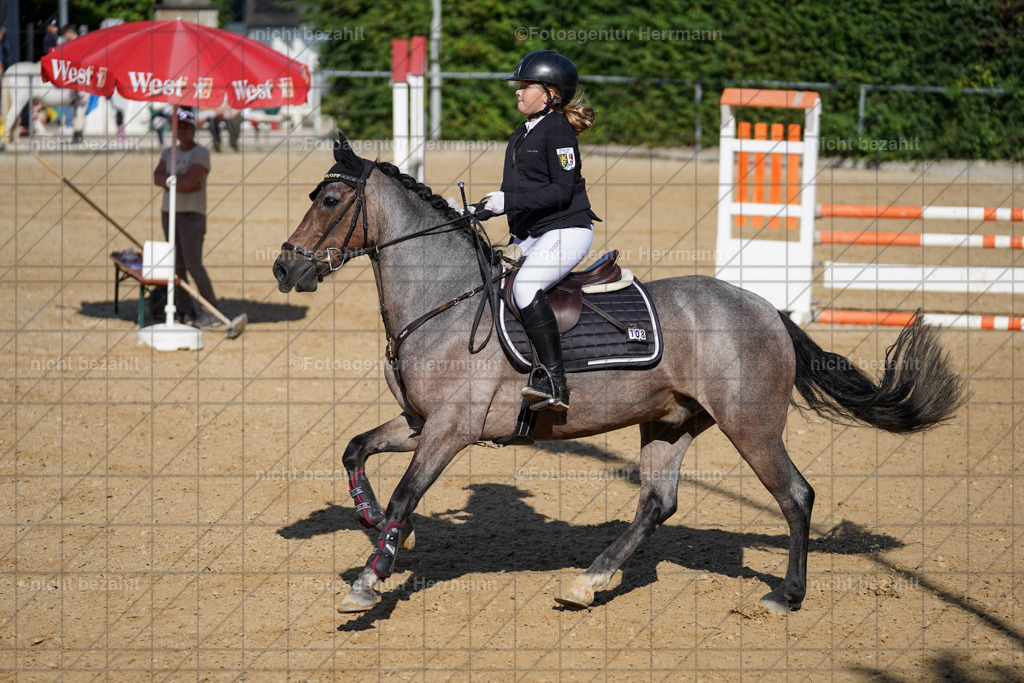 20240824-FAH07287 | Thierhaupten 2024, Bayerisches Landesponyturnier, Turnierbilder, Ponybilder, Turnierfotografen Bayern, Fotoagentur Herrmann
