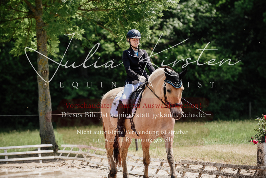 DSC_1654 | Pferde- und Turnierfotografie in Westsachsen. Pferdeportraits, Auftragszeichnungen und intuitive Kunst.