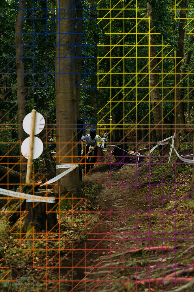 PAE-0230 | Einzigartige Fotokunst für dein Zuhause: Entdecke hochwertige Wandbilder, edle Prints und emotionale Motive von Wildlife, Natur und Landschaften - Realisiert mit Pictrs.com