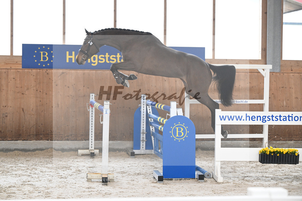 Kat-Nr. 50 Rosalina B v. Vingino_Bachl_14260031 | hf-fotografie - Realizzato con Pictrs.com