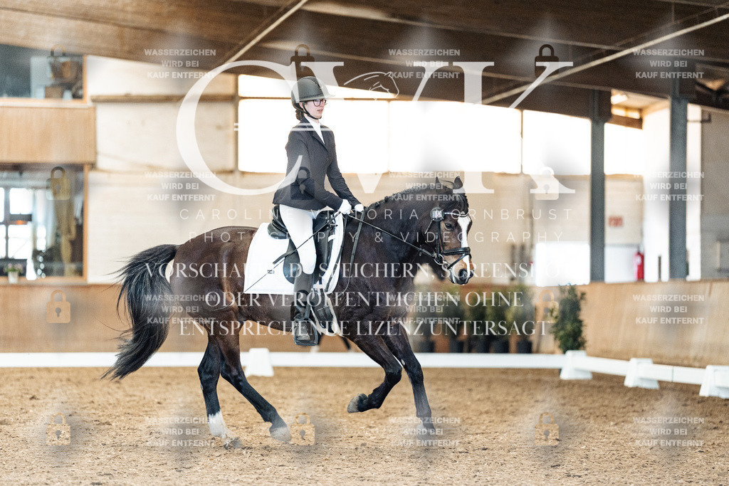 CK909783 | Turnierfotografie Pferdefotografie Trier Rheinland-Pfalz Pferdesport Reitsport Tierfotografie Sportfotografie Pferdevideo Pferdevideografie Equestrianvideography equestrianphotography  - Realisiert mit Pictrs.com