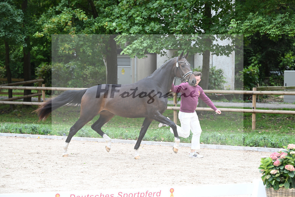 Kat-Nr. 20 Quty_Voigtlaender_49221266 | hf-fotografie - Realizzato con Pictrs.com