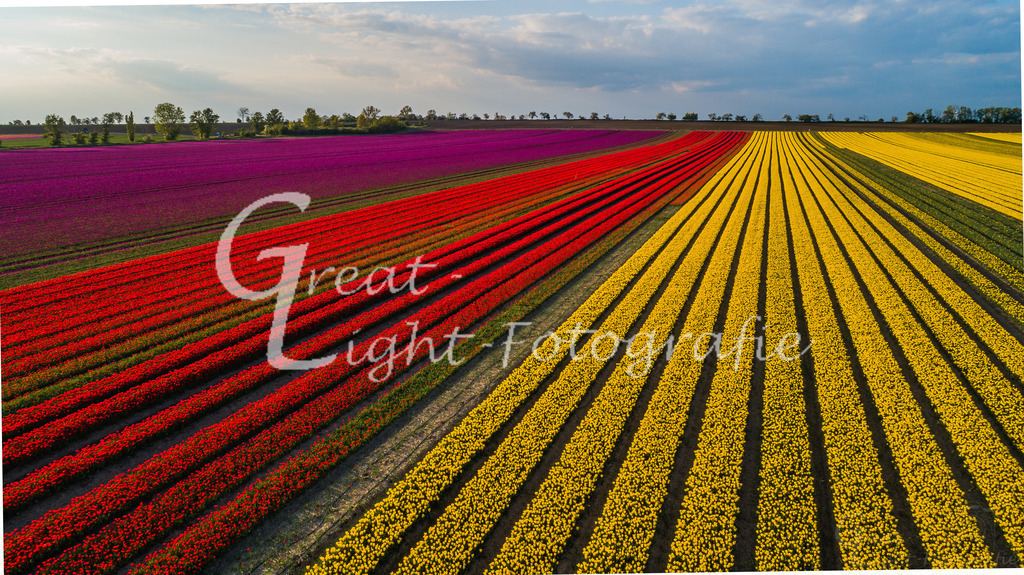 DJI_0171 | Great-Light Fotografie - Realisiert mit Pictrs.com