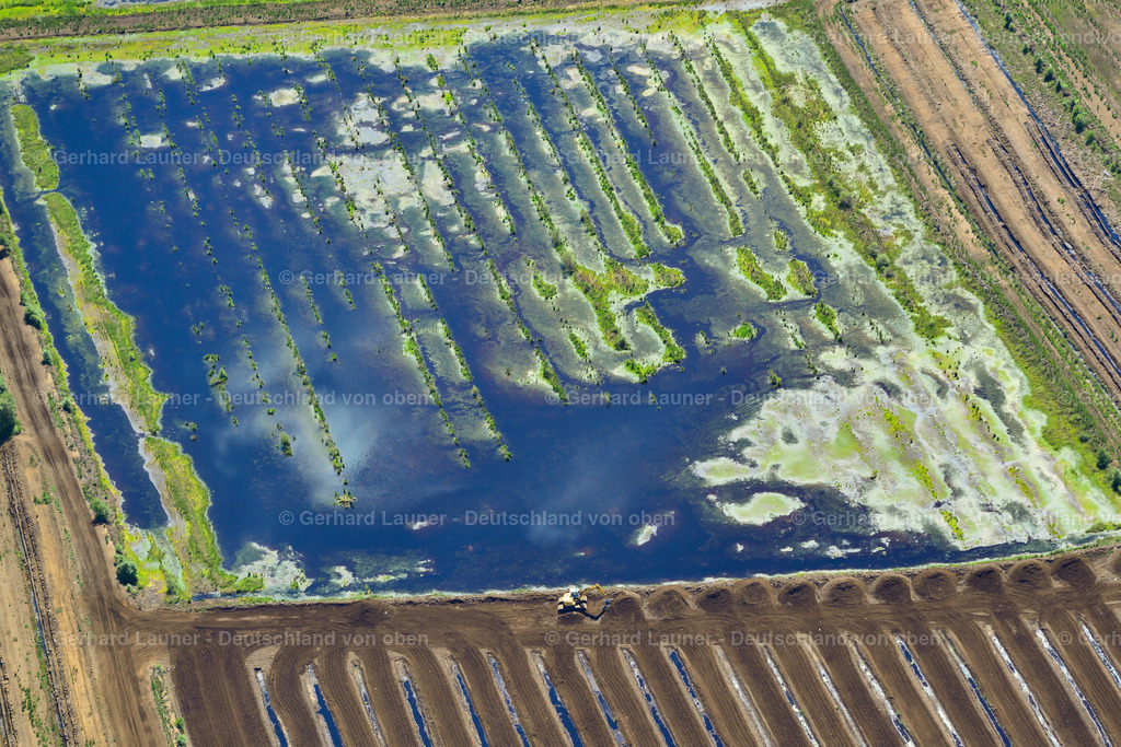 3620852 | Diepholzer Moor