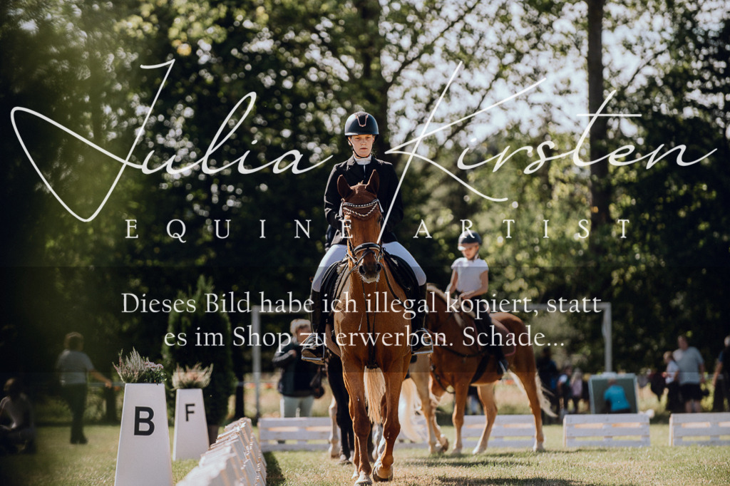 DSC_7226 | Pferde- und Turnierfotografie in Westsachsen. Pferdeportraits, Auftragszeichnungen und intuitive Kunst.
