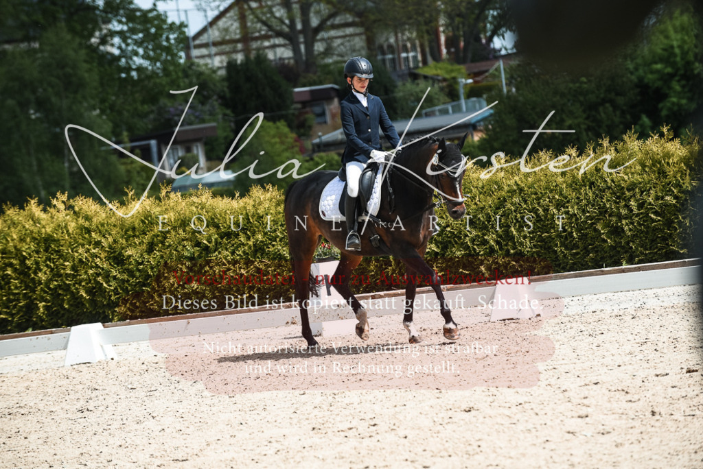 20230518_JK-Röhrsdorf-11-0516 | Pferde- und Turnierfotografie in Westsachsen. Pferdeportraits, Auftragszeichnungen und intuitive Kunst.
