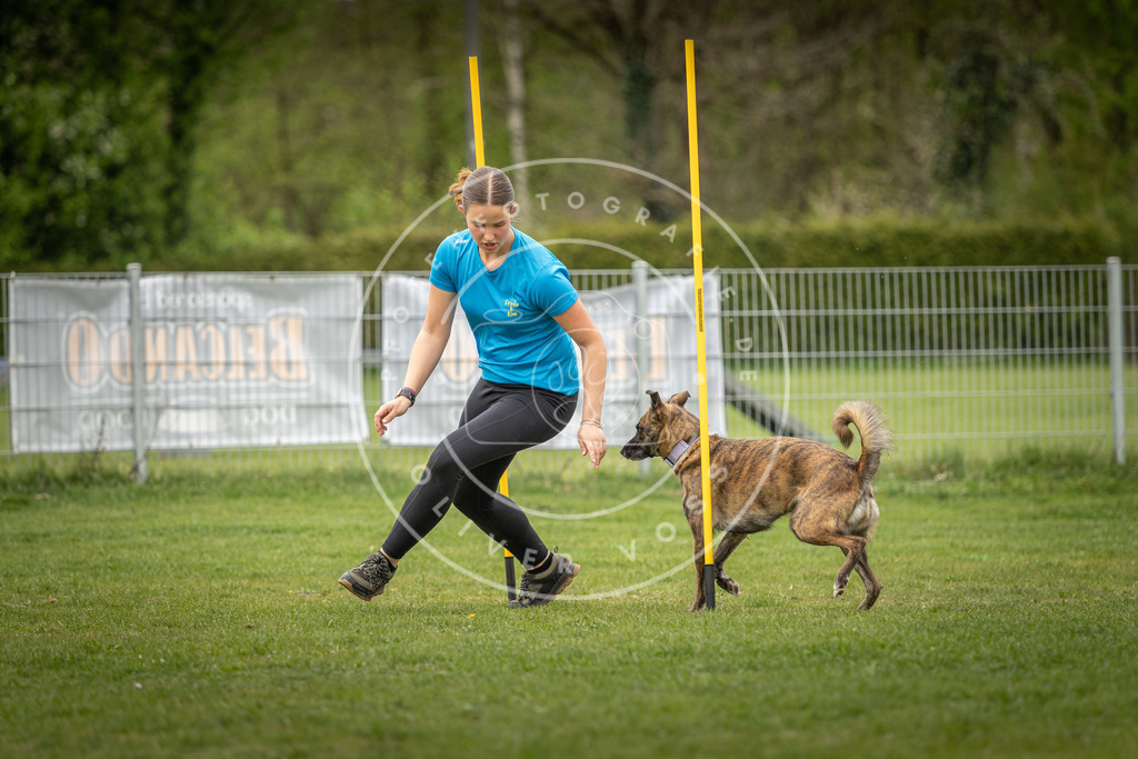 Pfotenfotografie_DV3A1830 | Hundefotografie, Tierfotograf, Pfotenfotografie, Fotoshooting Hund, Hunde Portrait, Hundesport, Hundeportraits, Heideshooting, Hunde, Sportfotograf, Hundefotograf, Turnierhundsport, THS,  - Realisiert mit Pictrs.com