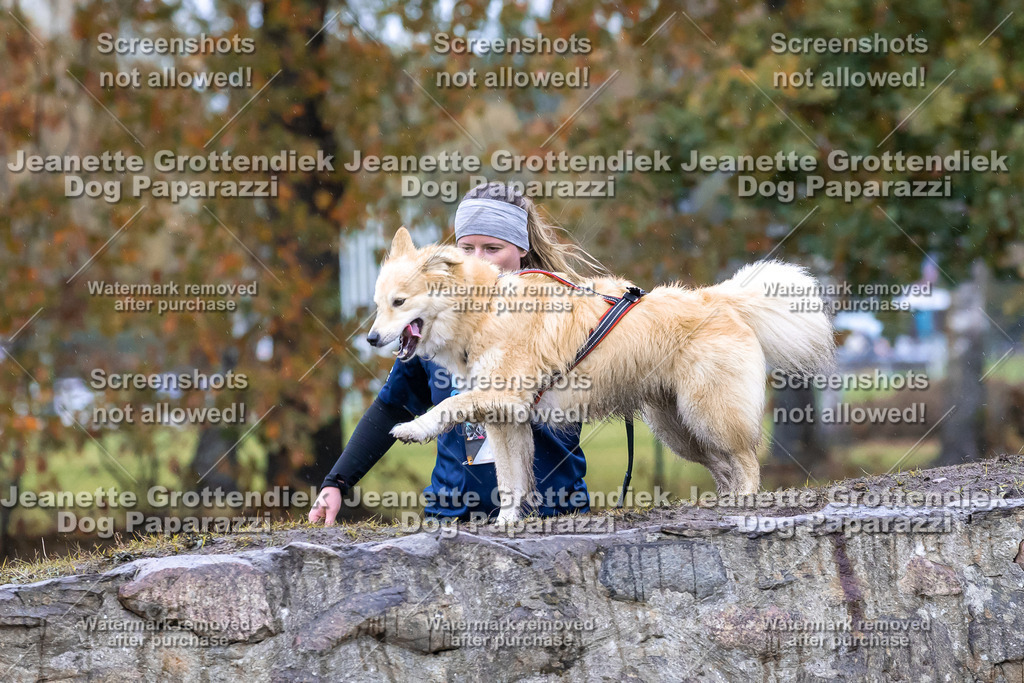 Dog Paparazzi - SD CaniX Championship 2025-837 | Dog Paparazzi Jeanette Grottendiek Fotografie & Videografie - Realisiert mit Pictrs.com