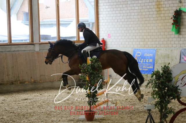 IMG_0627 | Turnierfotos kaufen im Webshop von Daniel Kuhl Photography – entdecke professionelle Reitsportfotos aus Turnieren & Events. Hochwertige Turnierbilder online bestellen & sichern. Jetzt Fotos von Reitsportturnieren kaufen!