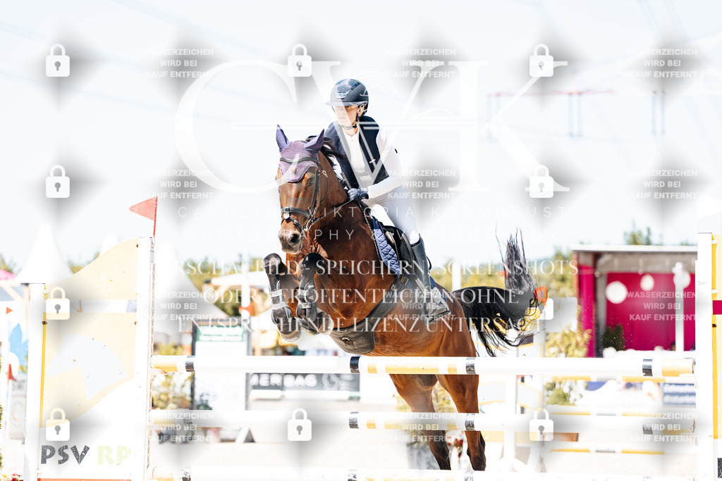 CK909894 | Turnierfotografie Pferdefotografie Trier Rheinland-Pfalz Pferdesport Reitsport Tierfotografie Sportfotografie Pferdevideo Pferdevideografie Equestrianvideography equestrianphotography  - Realisiert mit Pictrs.com