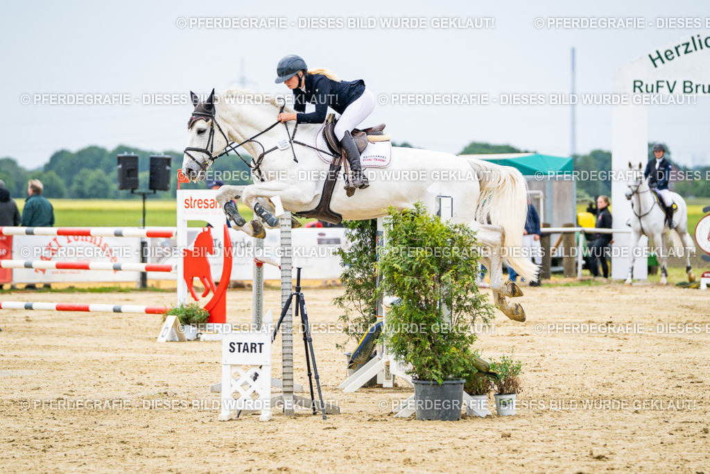 DSC06969 | Pferdegrafie