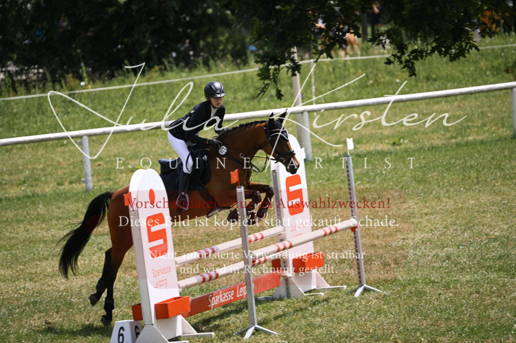 DSC_9513 | Pferde- und Turnierfotografie in Westsachsen. Pferdeportraits, Auftragszeichnungen und intuitive Kunst.